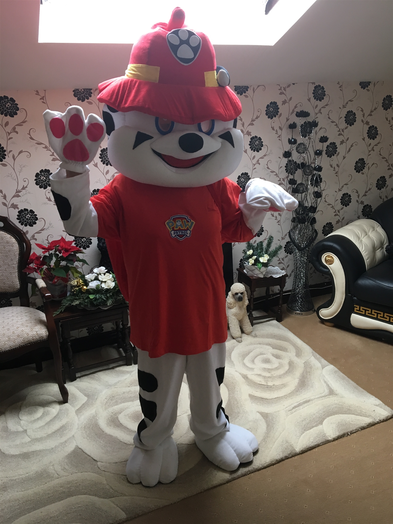 Mascot Hire or Visit - Bouncy Castle Hire in Bristol, Weston Super Mare