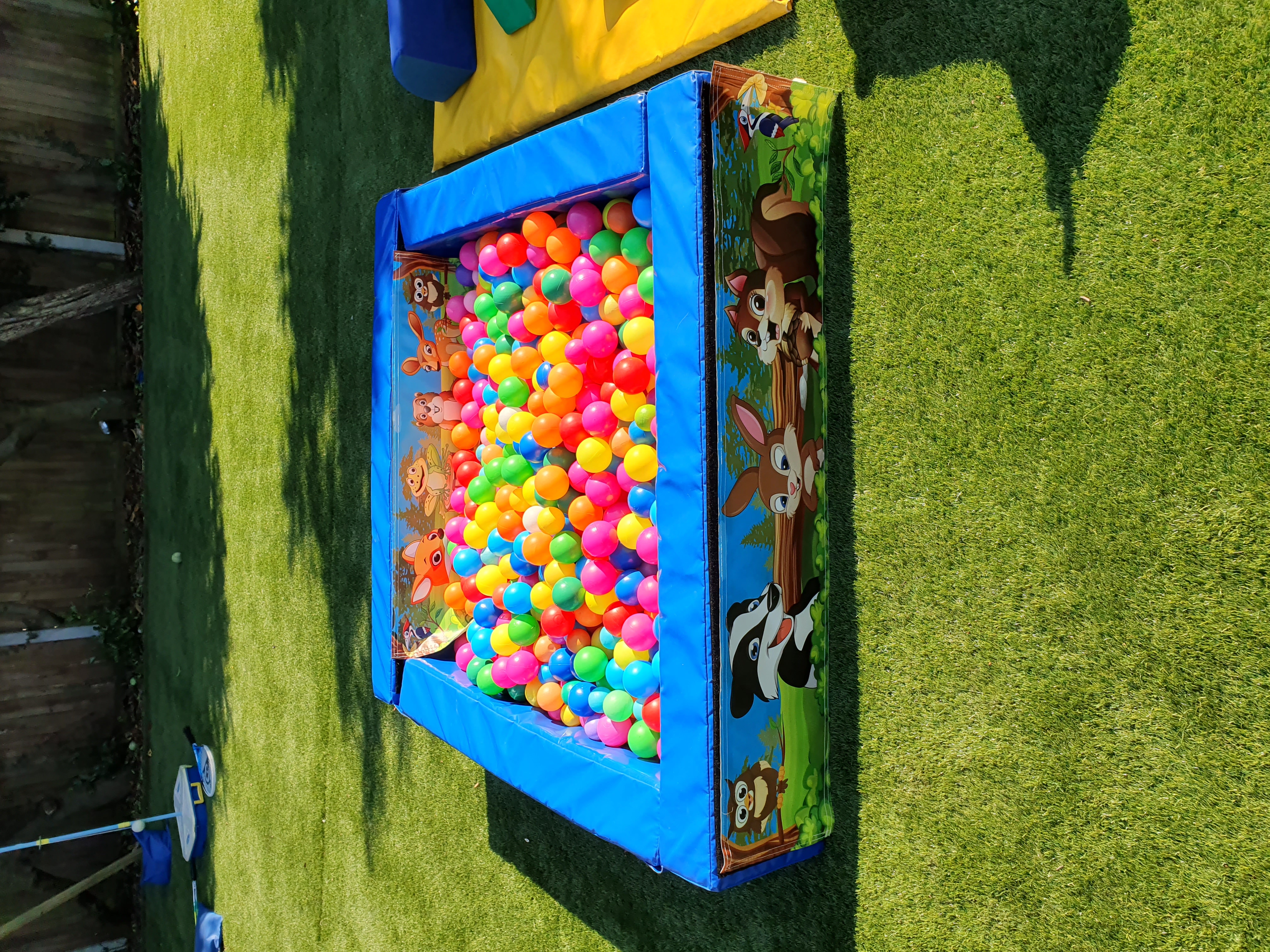 bouncy castle and ball pit