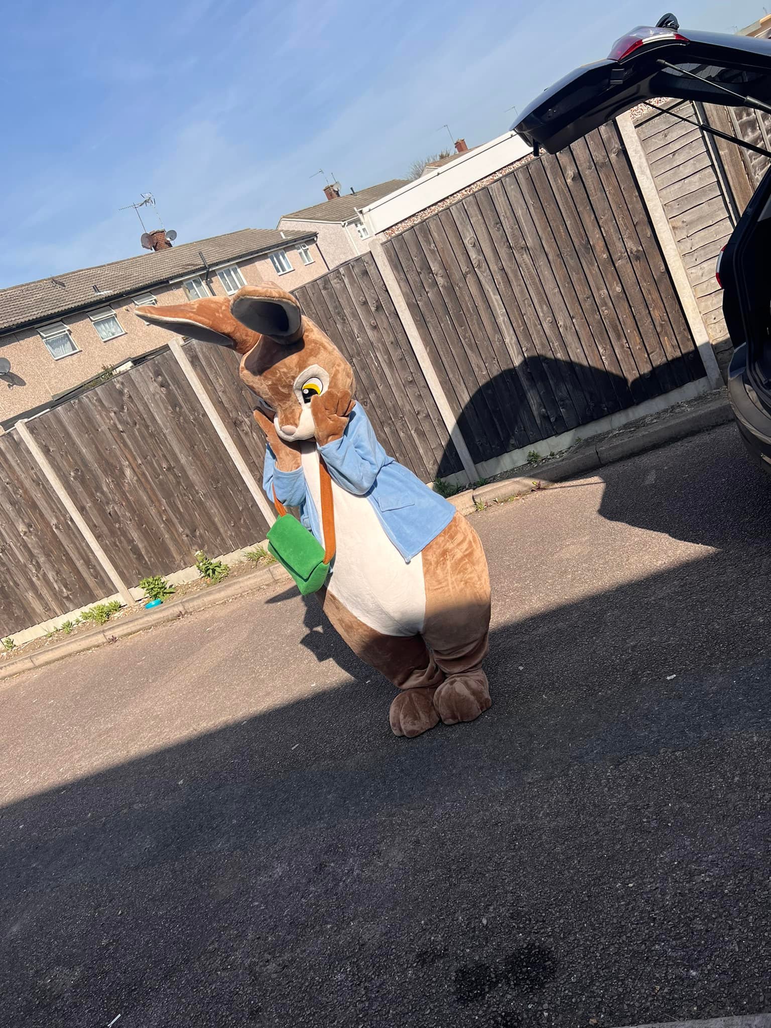 Peter rabbit mascot - Inflatables Hire in London, greenwich , charlton ...