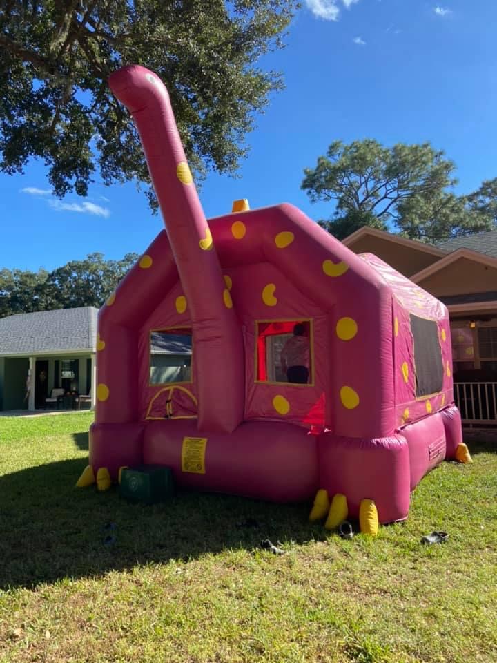Bounce Houses Rent in Florida