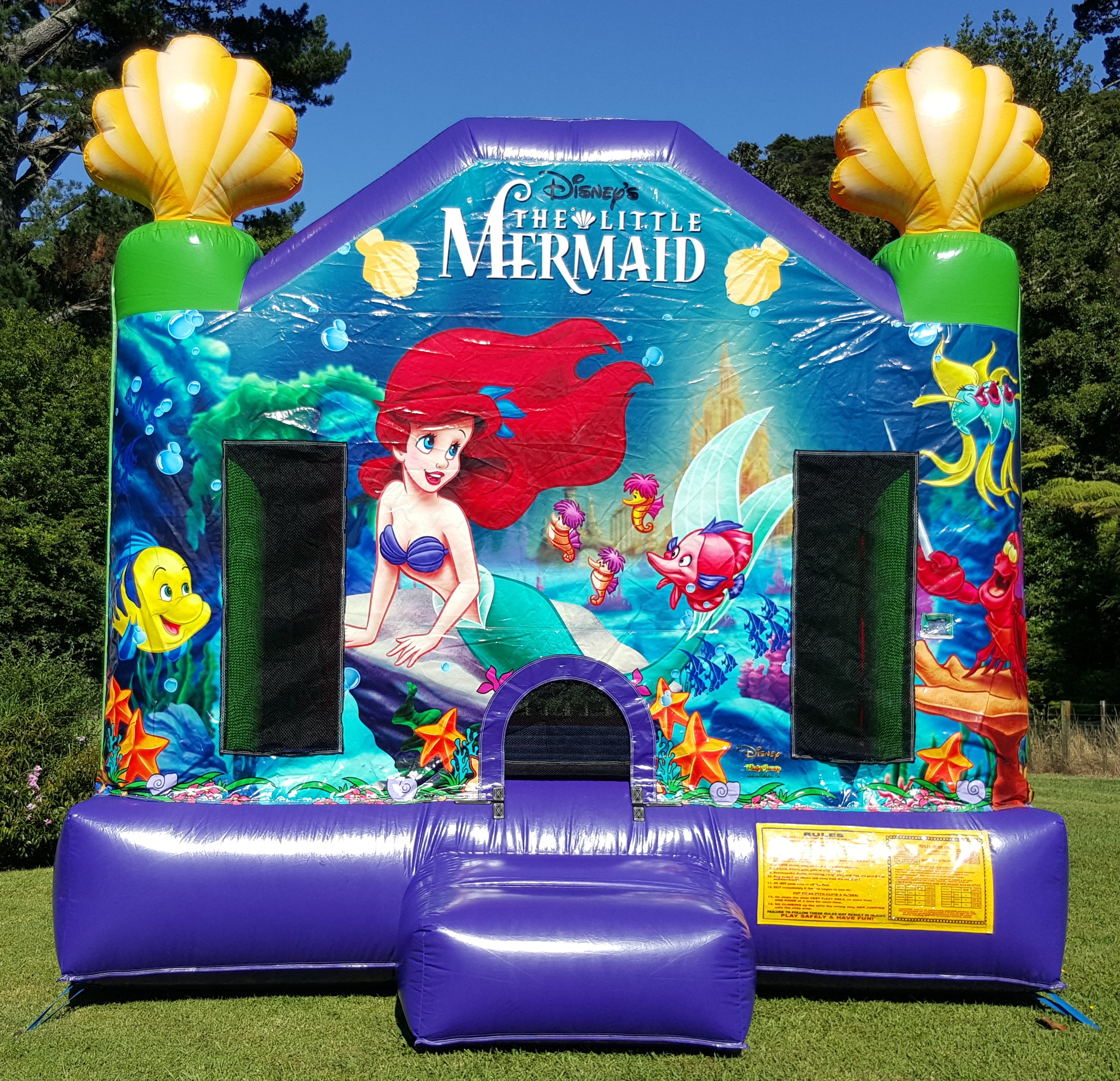 ariel bouncy castle