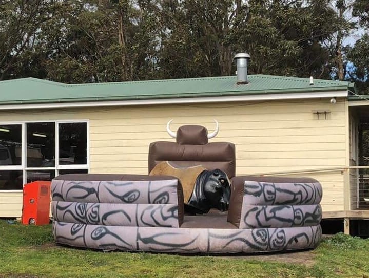 Bucking Bull Hire Exciting Rodeo Action for Any Occasion