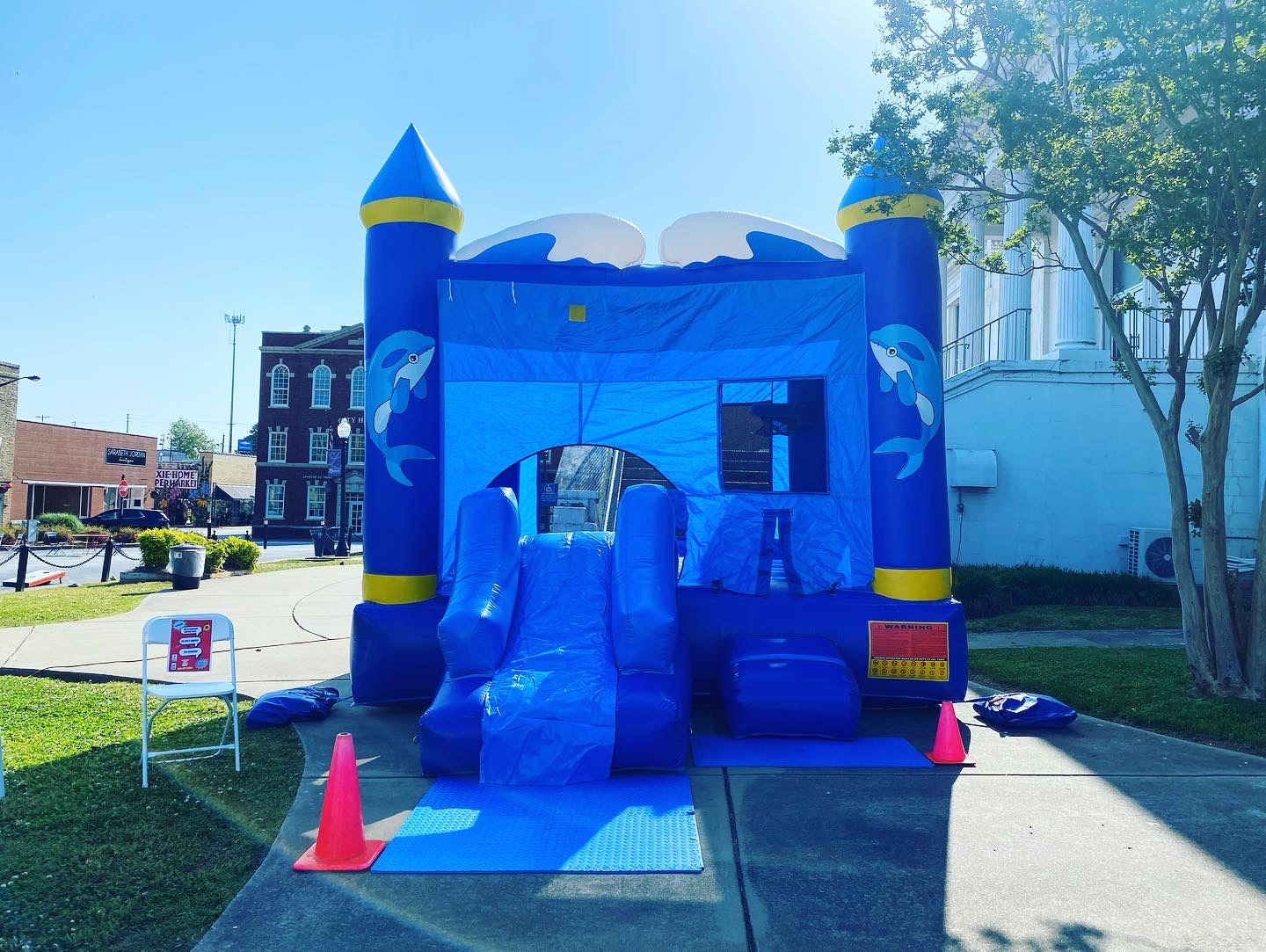 Dolphin Combo Inflatable Rentals in Gray Court, Fountain Inn