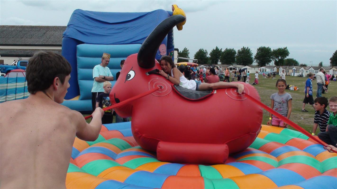 inflatable bull bouncer