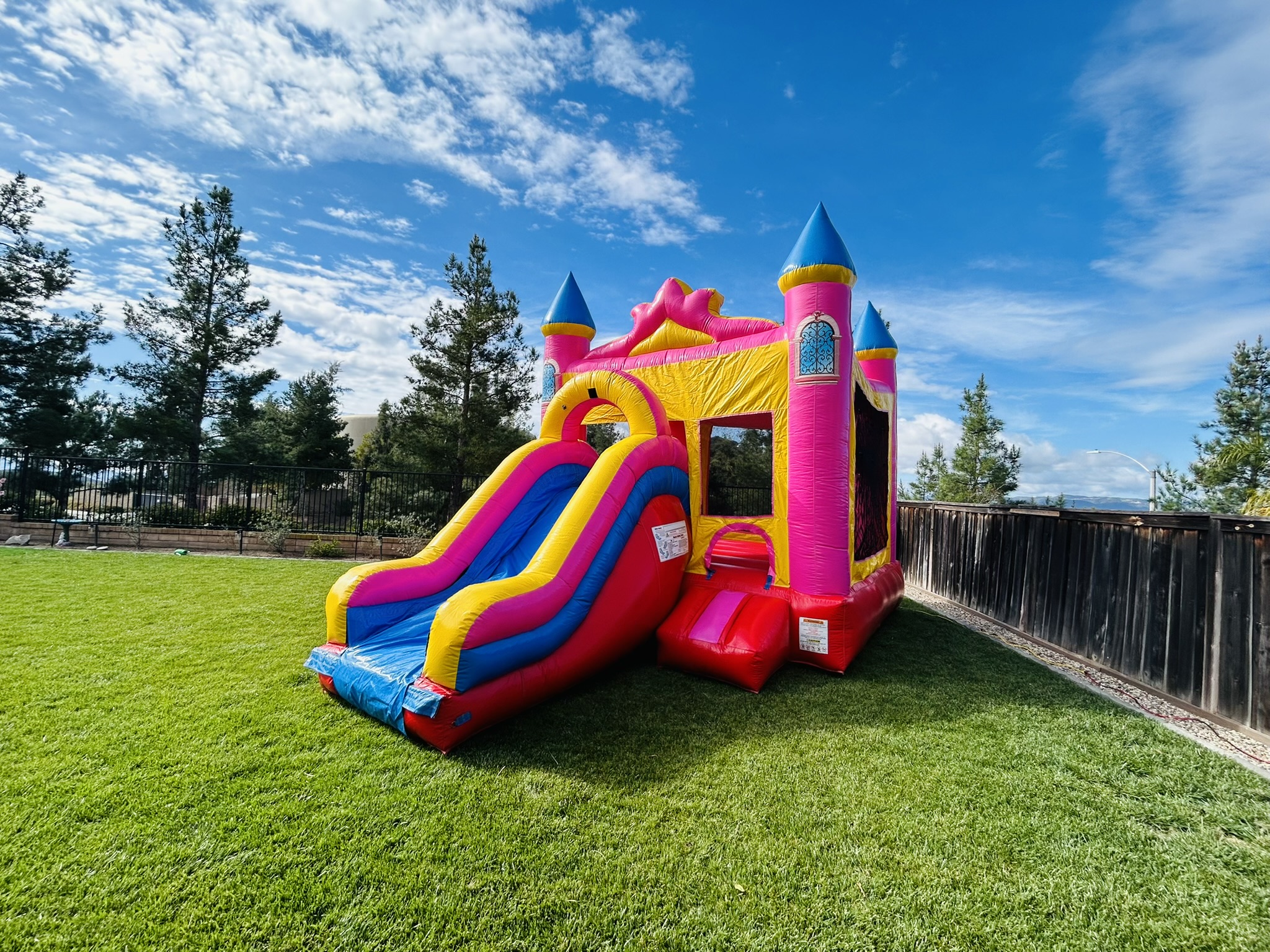 Pink Reign Combo - Bounce House Rentals in Menifee, CA | Mojo's ...
