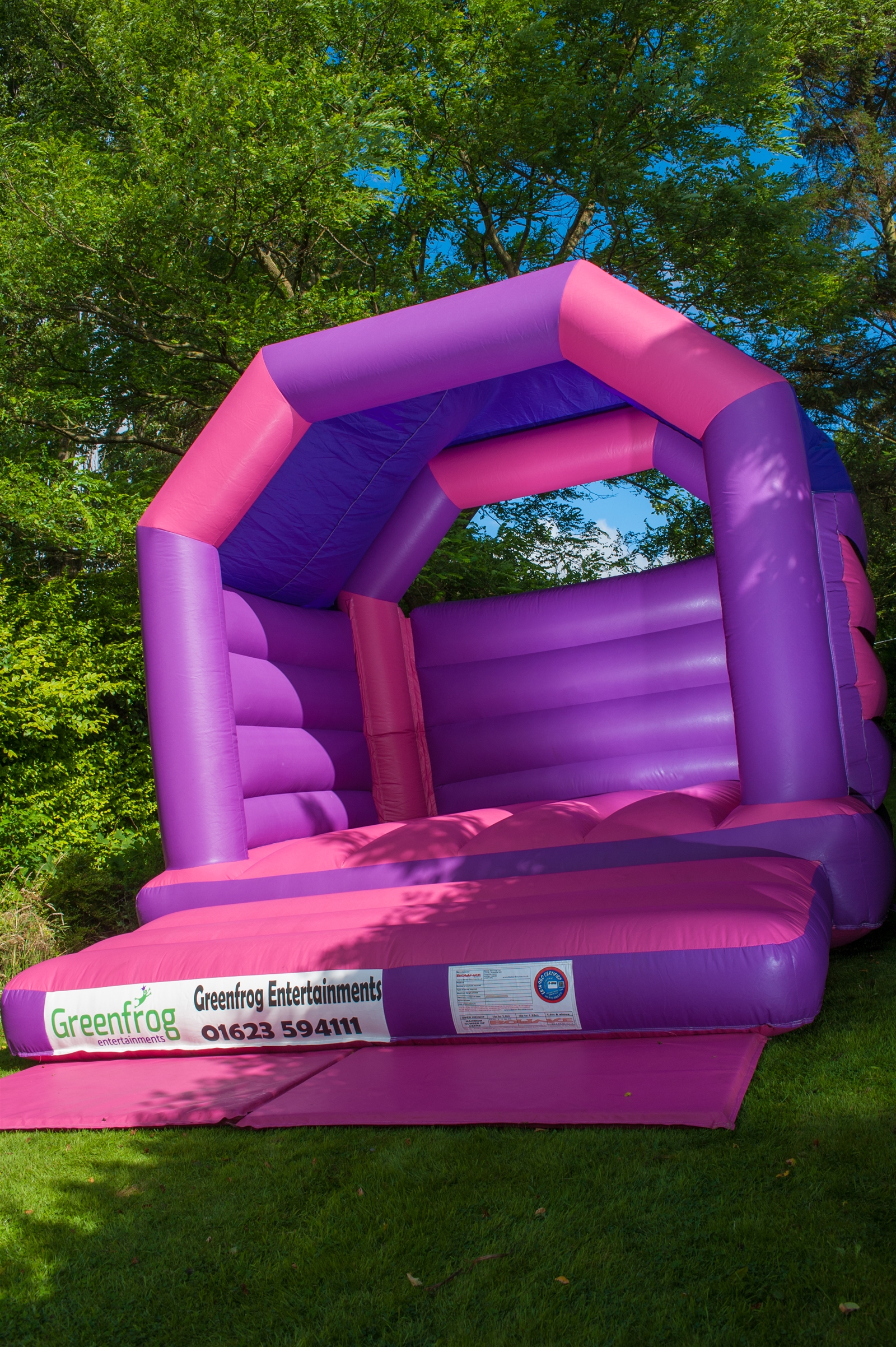 pink and purple bouncy castle