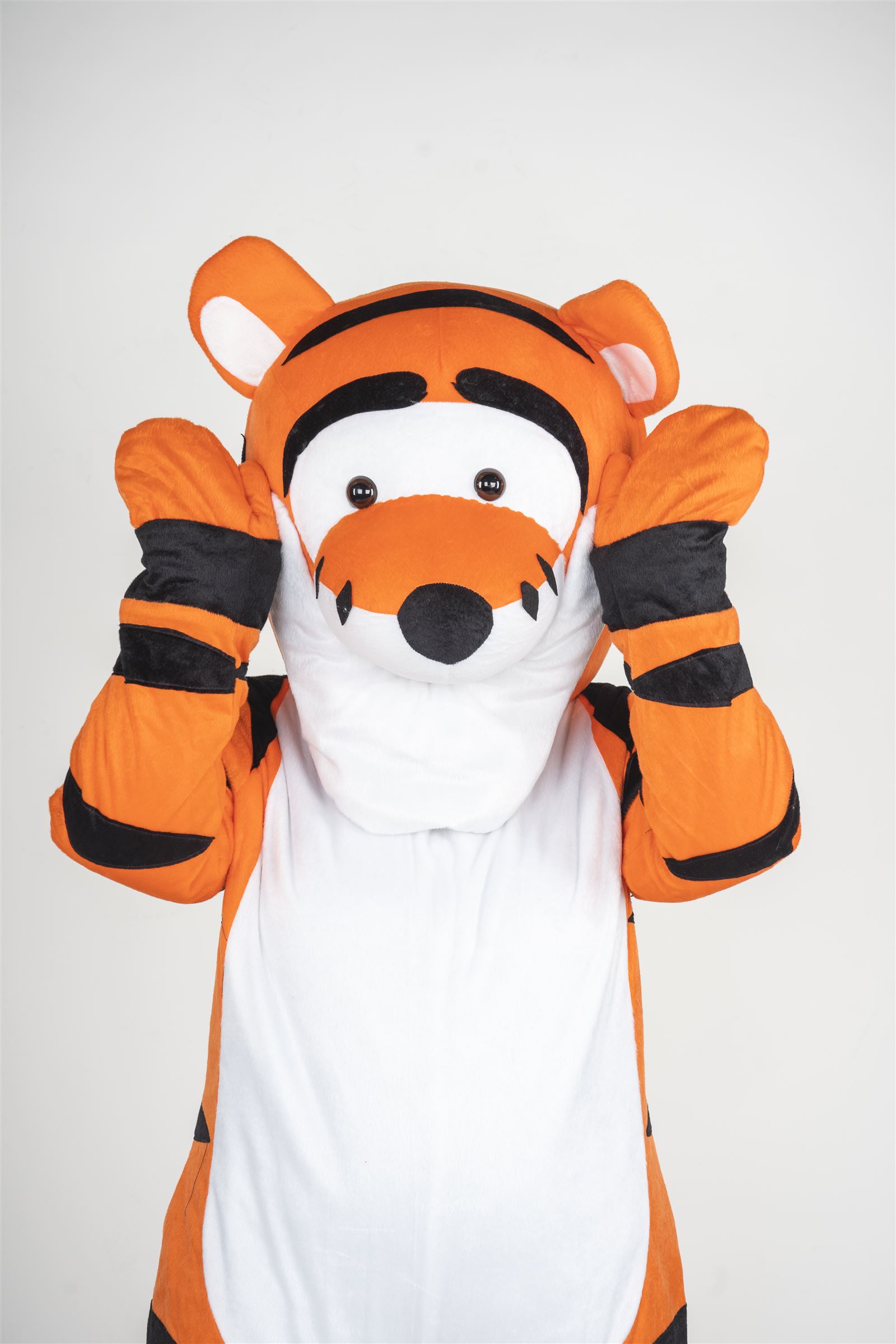 Mascots - Kids Party Packages & Entertainment Specialist in Portsmouth