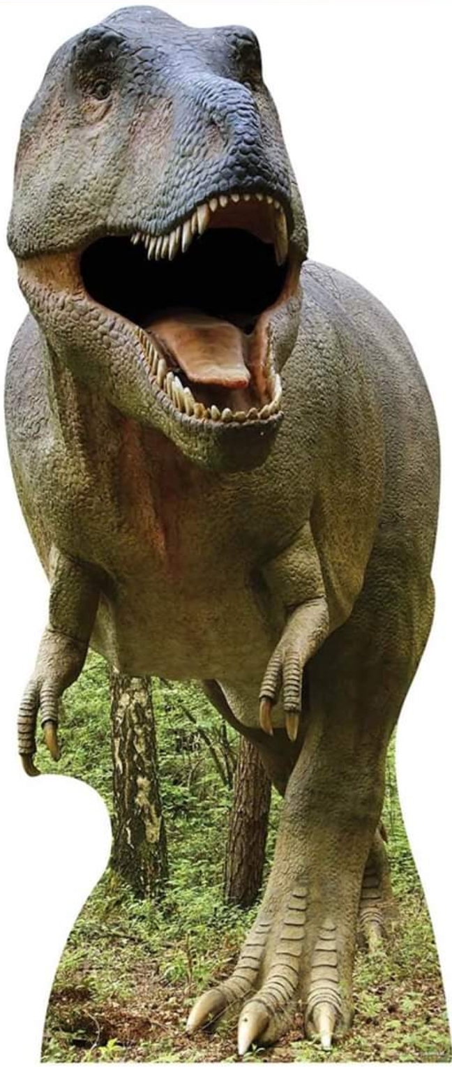 Cardboard Cutouts. Best Bouncy Castle Hire service in London Bouncing Bonkers