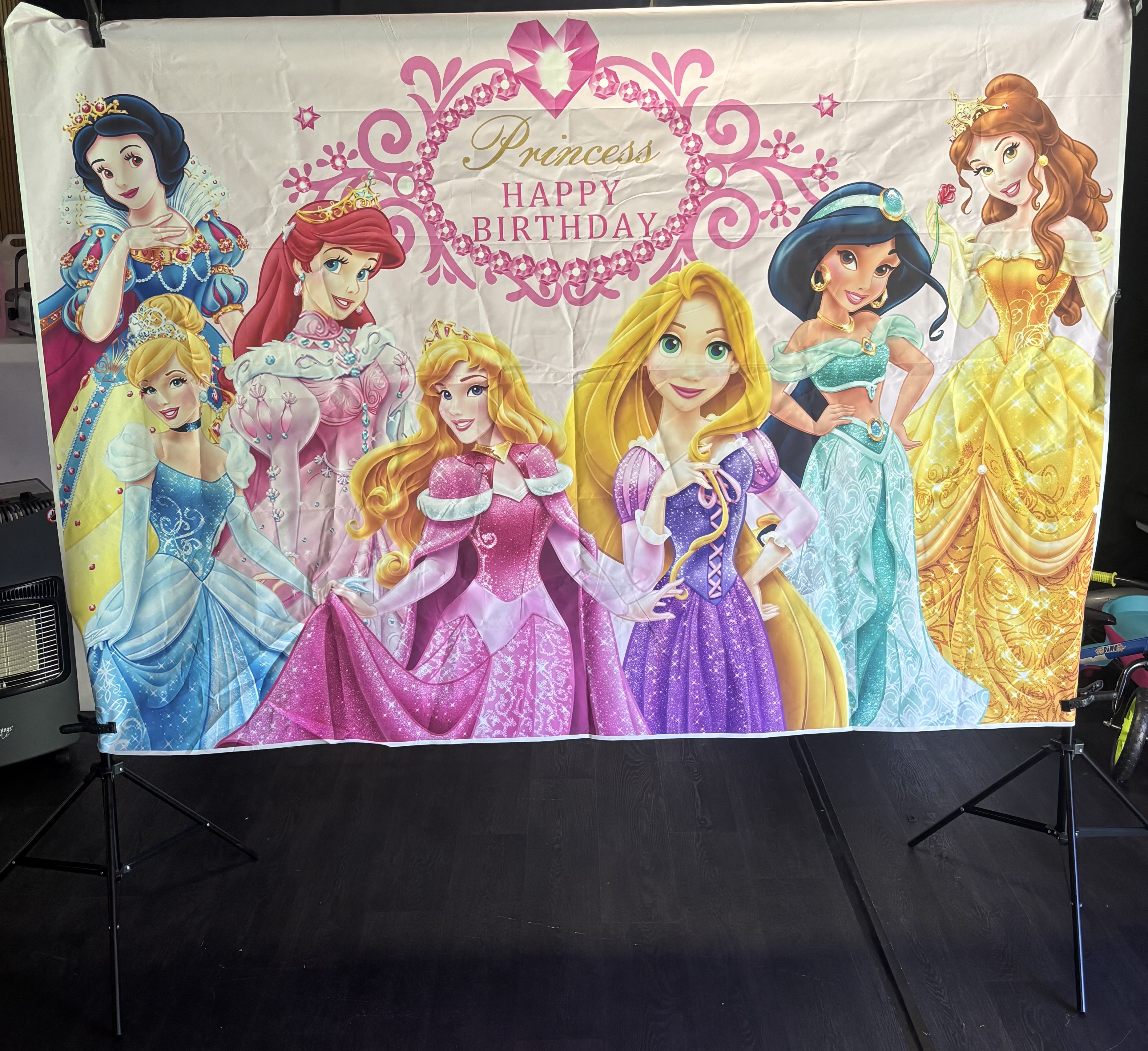 Princess Back Drop
