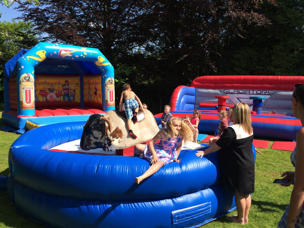 Rodeo bull - Bouncy Castle Hire in Wolverhampton, Walsall, Cannock ...