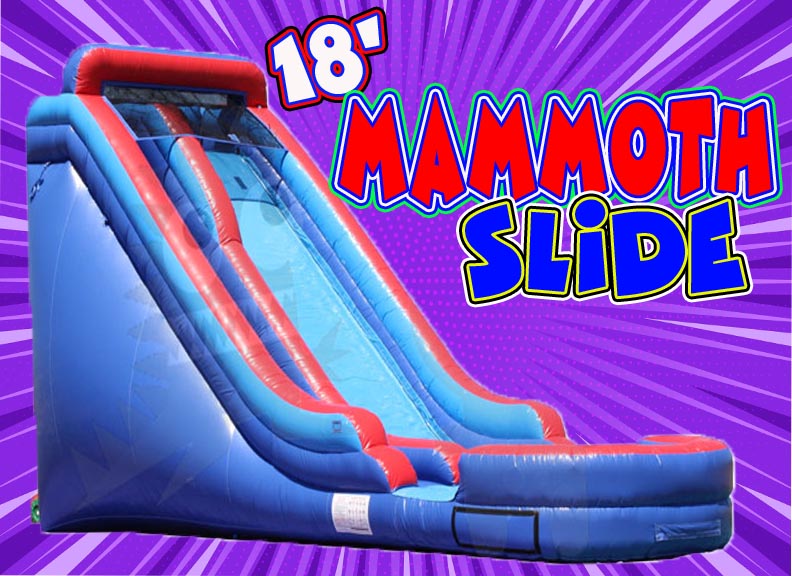 Slides Dry Bounce House Inflatables, Mechanical Bull, Bungee Jump