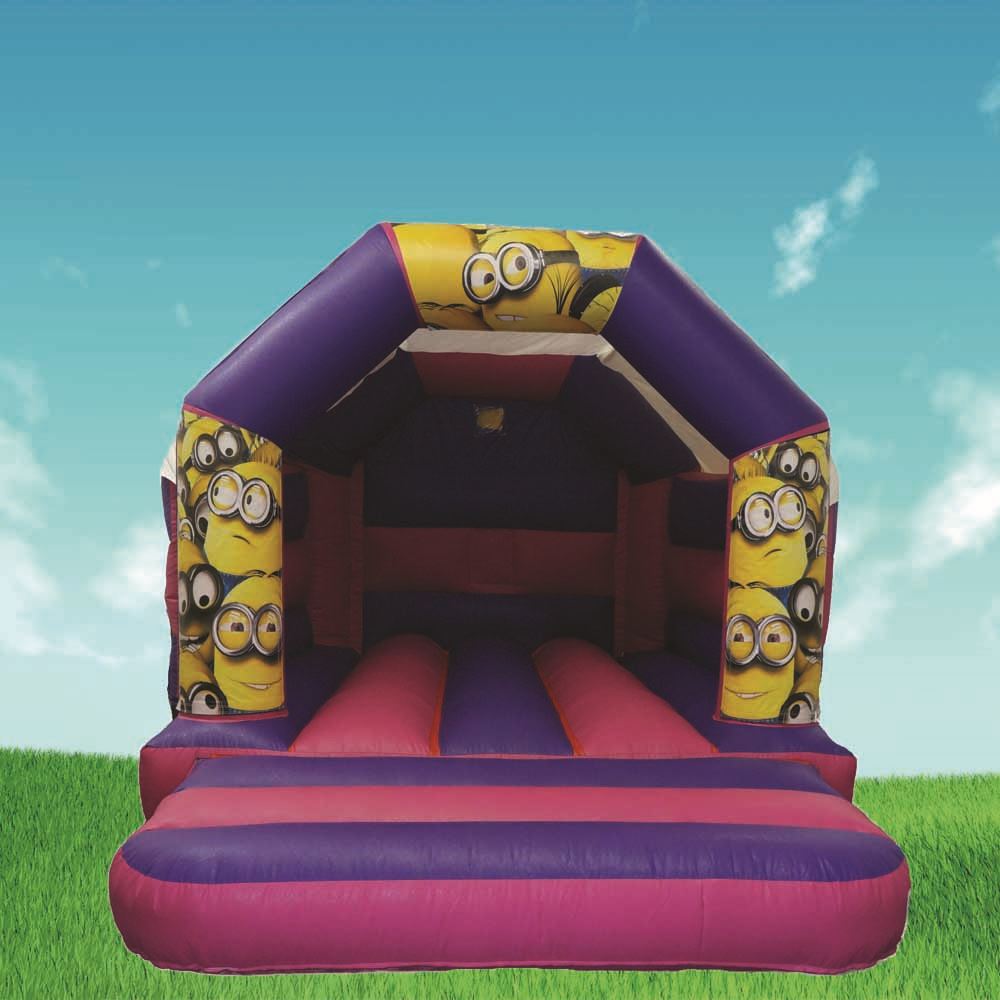 pink and purple bouncy castle