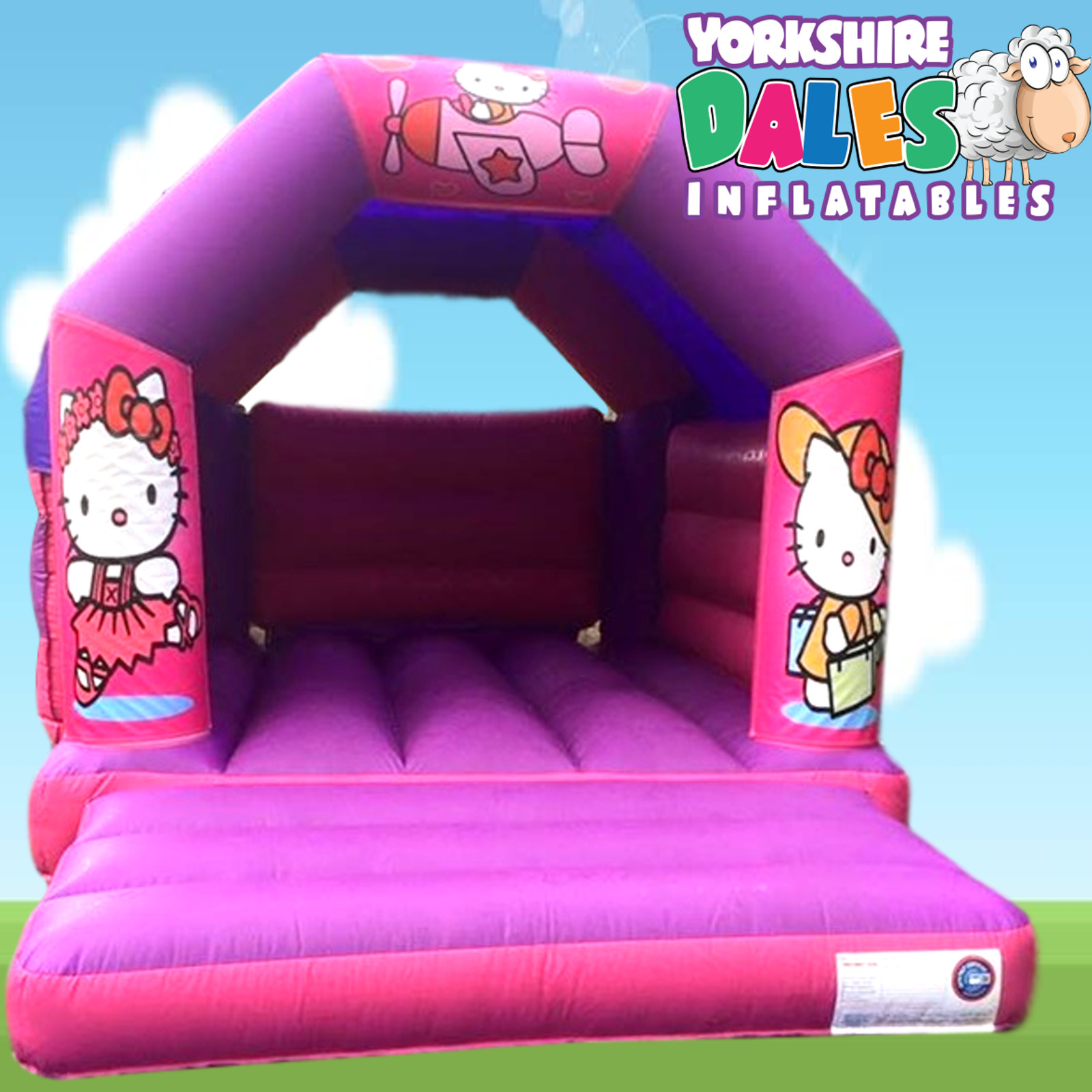 babys bouncy castle
