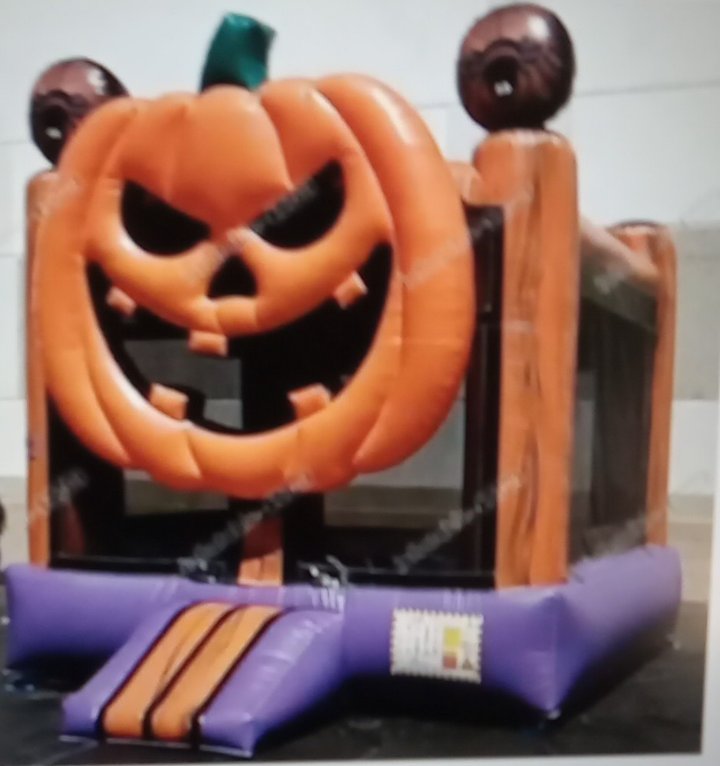 Bounce House Rental Brandon | Bounce Boyz Party Rentals