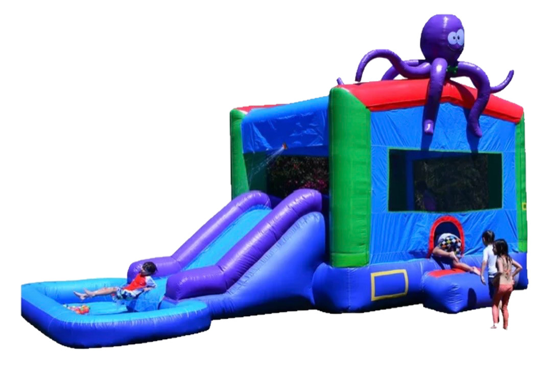 Inflatables Best Party Rentals service in Chicago Southwest Suburbs Skyline Party Rentals