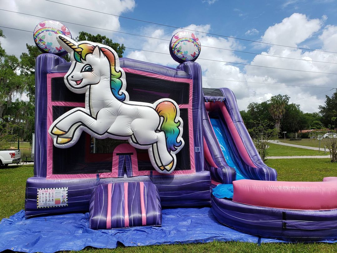 Water Slides Inflatable Rental, Bounce House Rental. in Zolfo Springs
