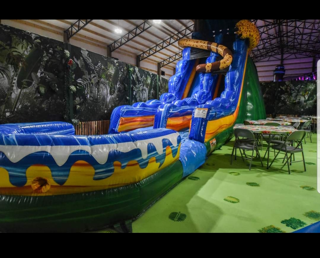 Rainforest Adventure Party Room Hire in AL Bouncers Inflatable Rentals