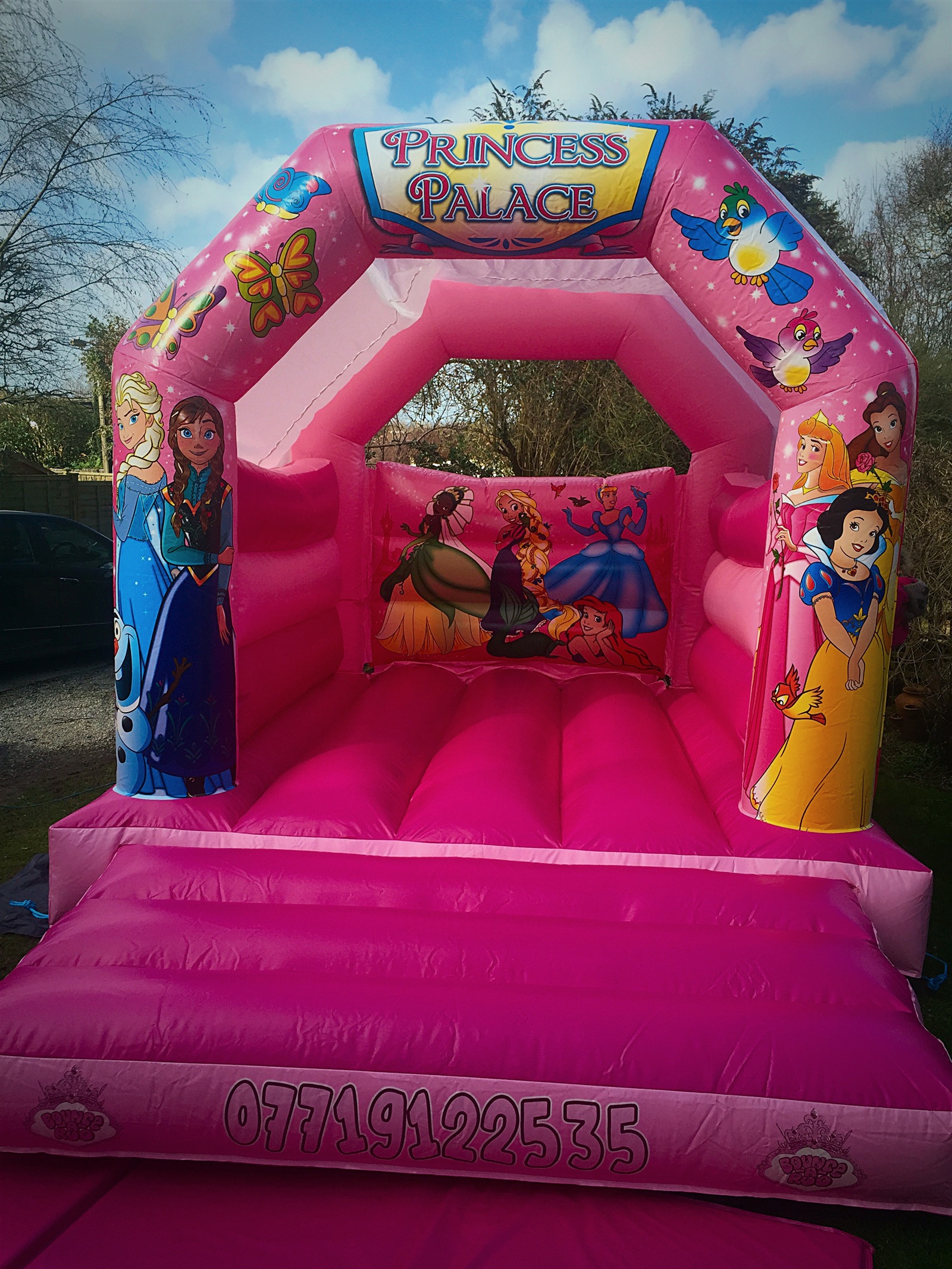 princess bouncy castles