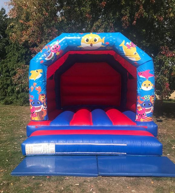 Themed bouncy castle