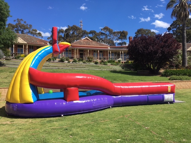 slam dunk inflatable