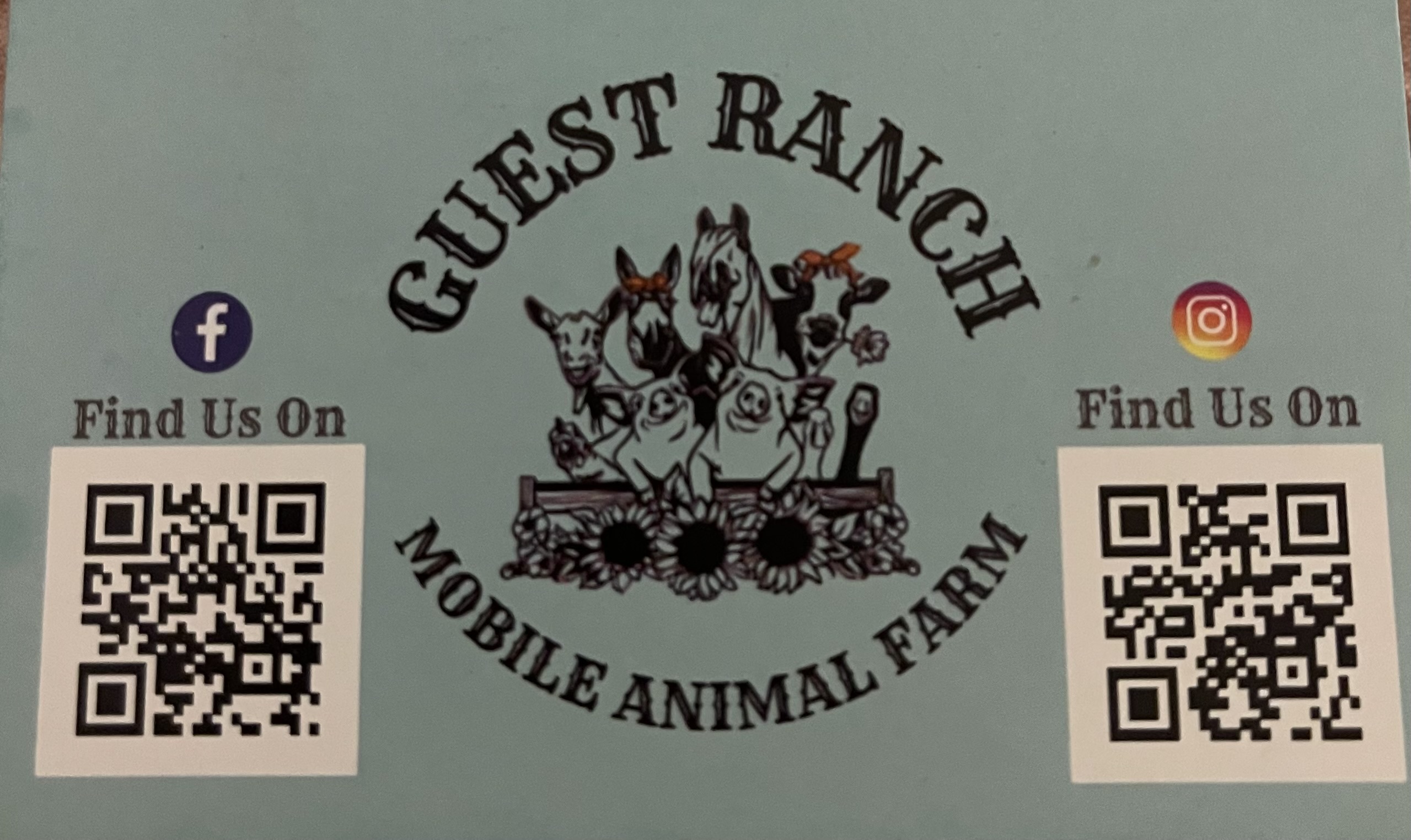 Mobile Animal Farm Jumping Castle Hire Brisbane, Jumping Castle Hire