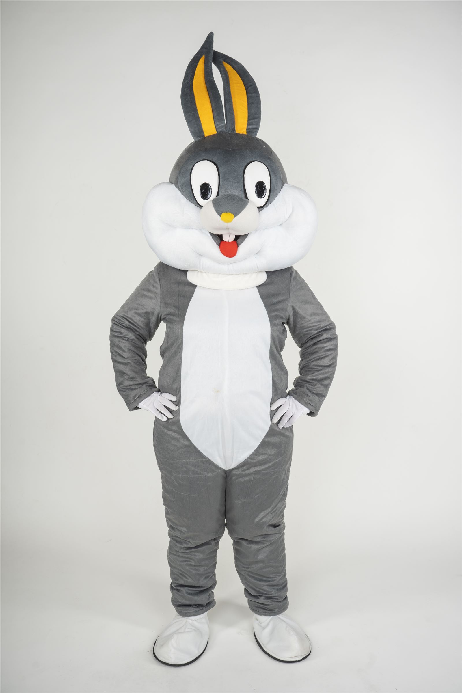 Mascots Kids Party Packages & Entertainment Specialist in Portsmouth