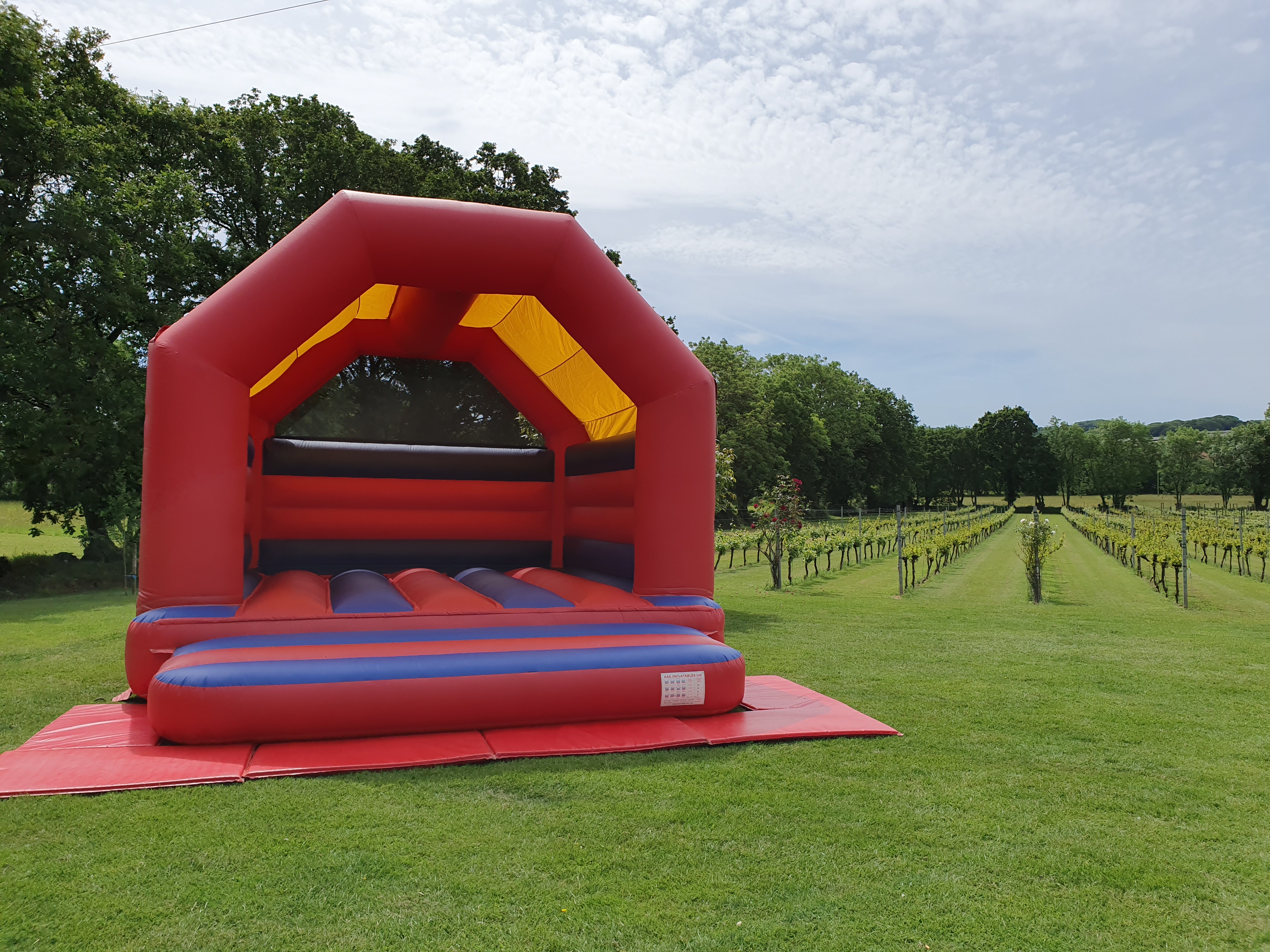 adult bouncy castle