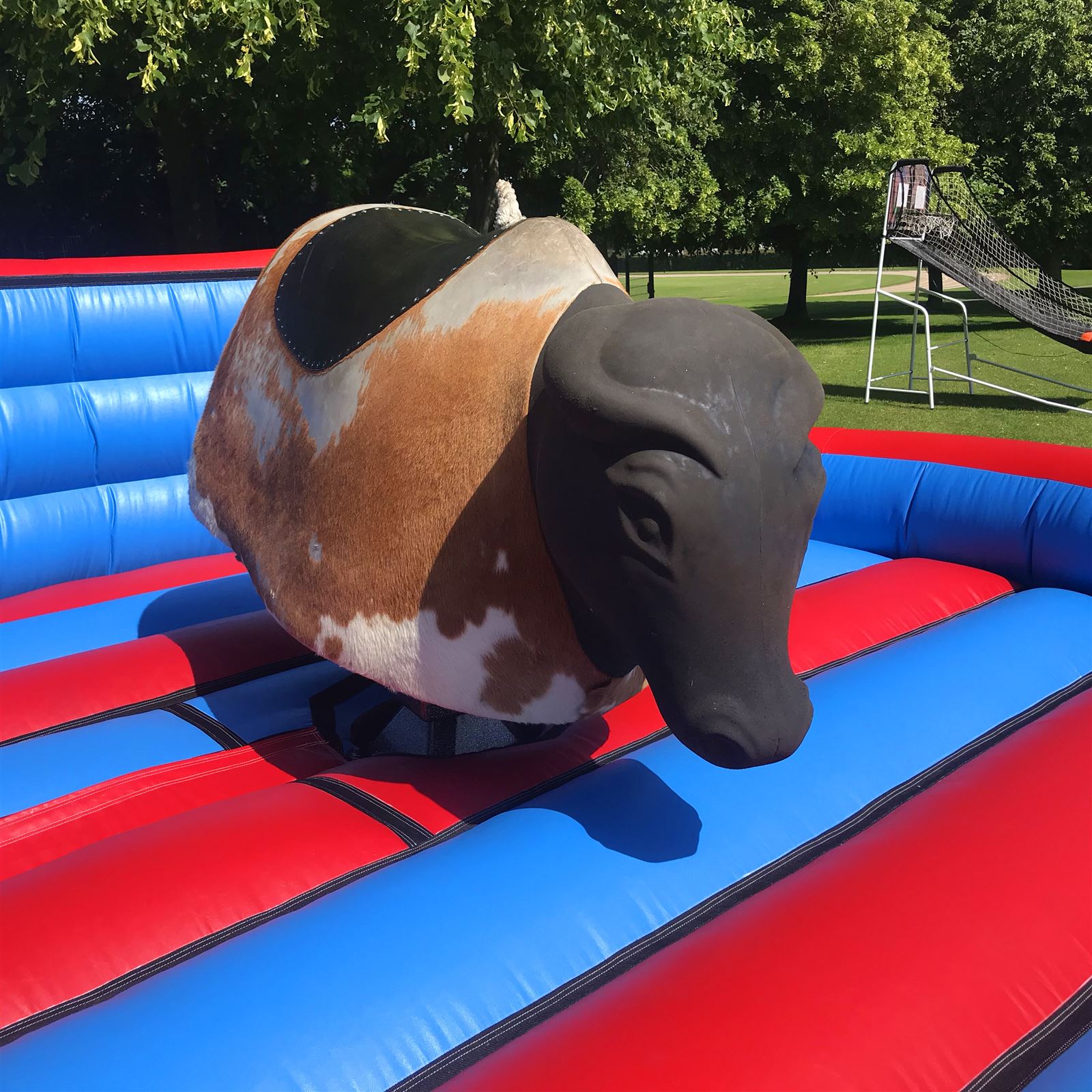 bull riding hire