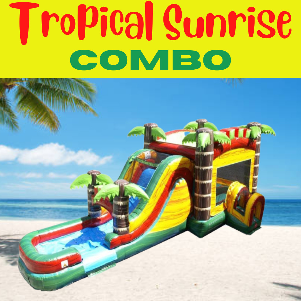 WET OR DRY BOUNCES HOUSE WITH SLIDE Best Inflatable Party Rentals