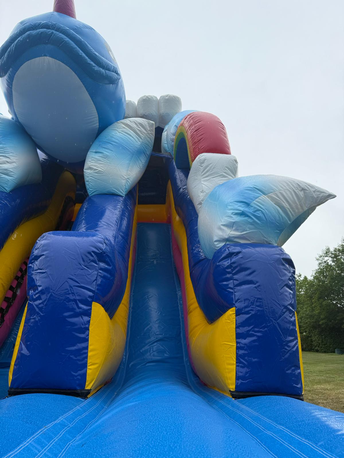 Sea World Slide Hire - ice-rinks.co.uk in UK | Ice-rink Uk