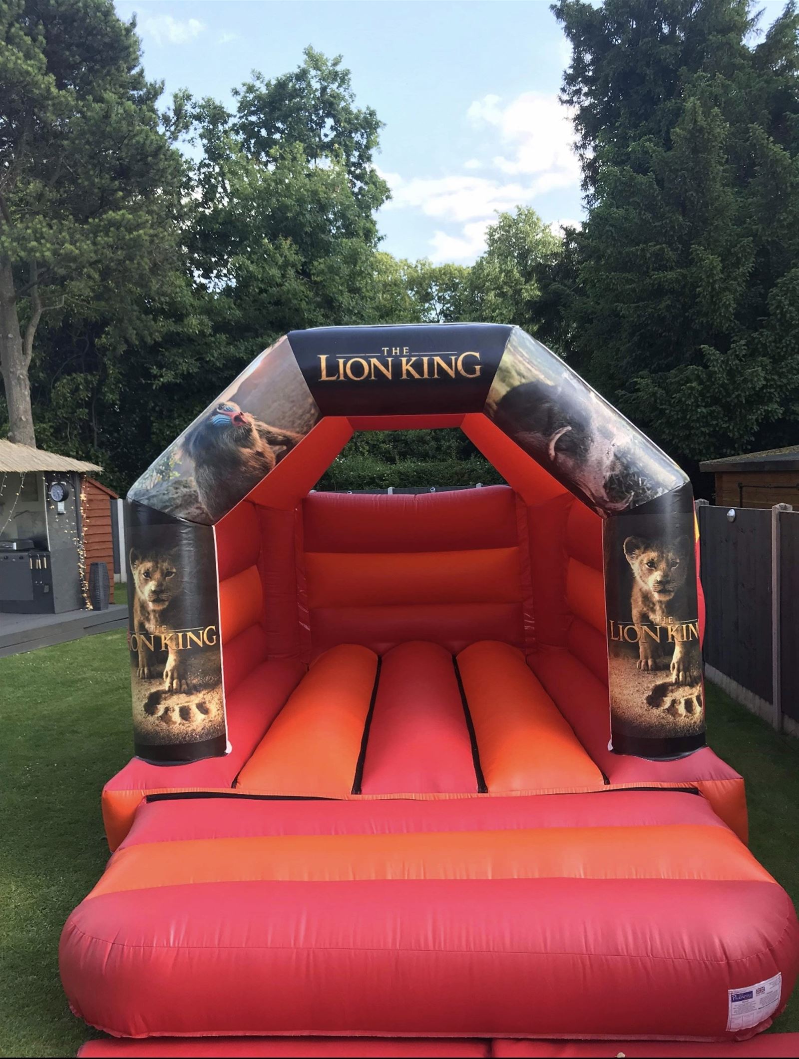 lion king jumping castle