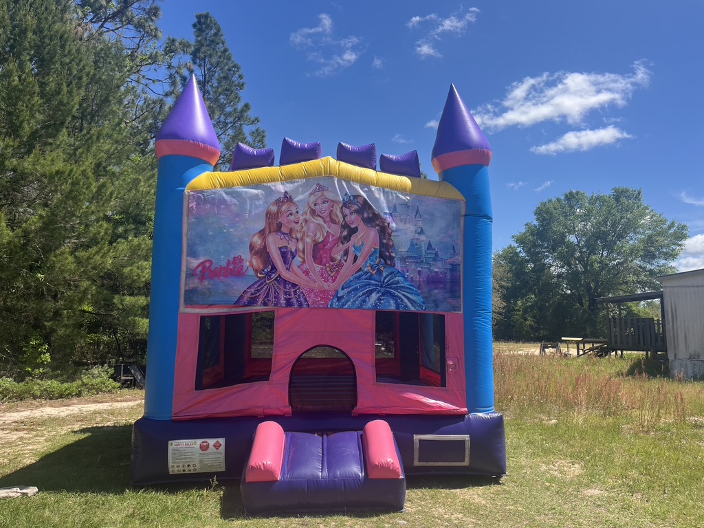 Bounce Houses Hire in florida