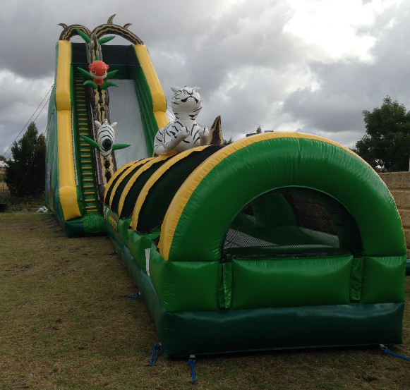 bouncy castle slip and slide