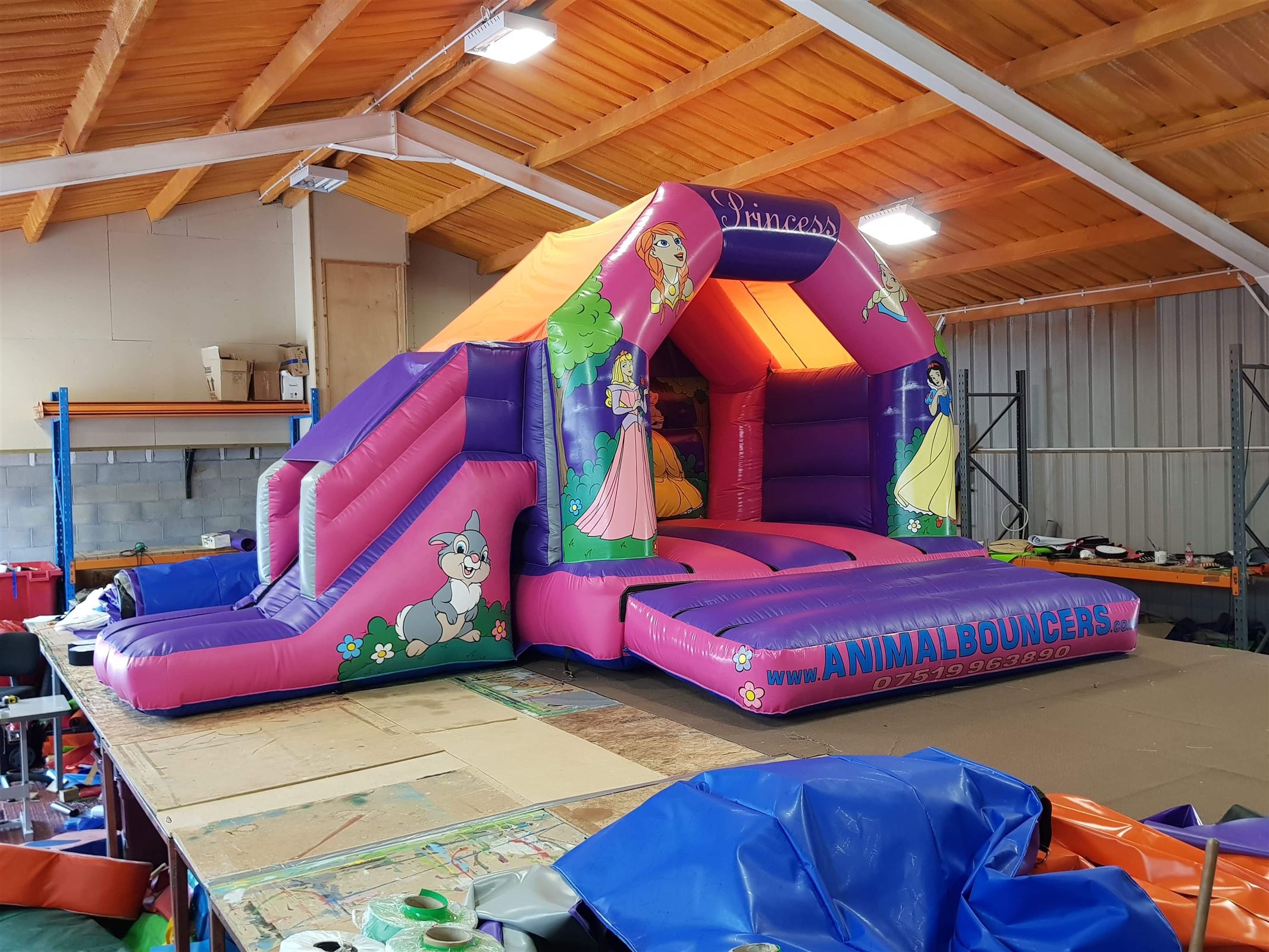 princess jumping castle hire