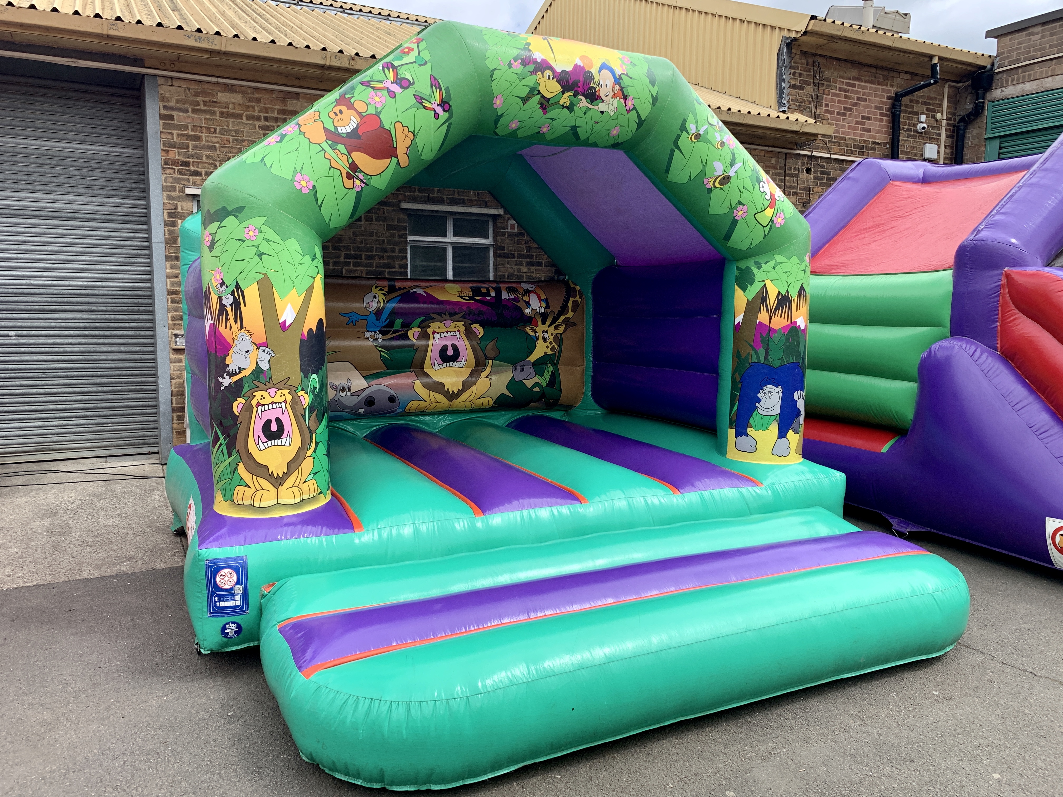 bouncy castle girls