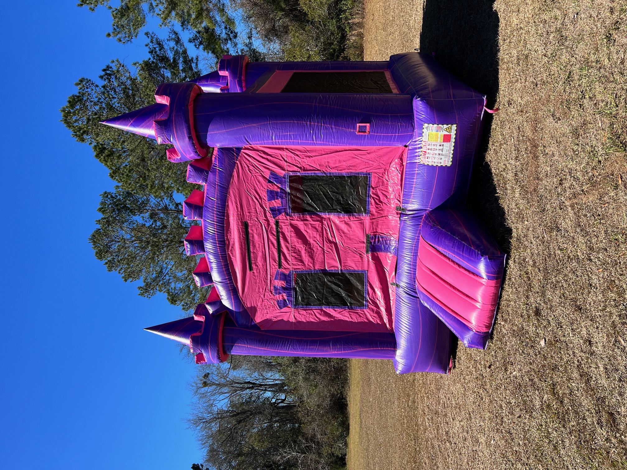 Princess Castle Bounce House - Rentals in Jesup, Baxley, Ludowici ...