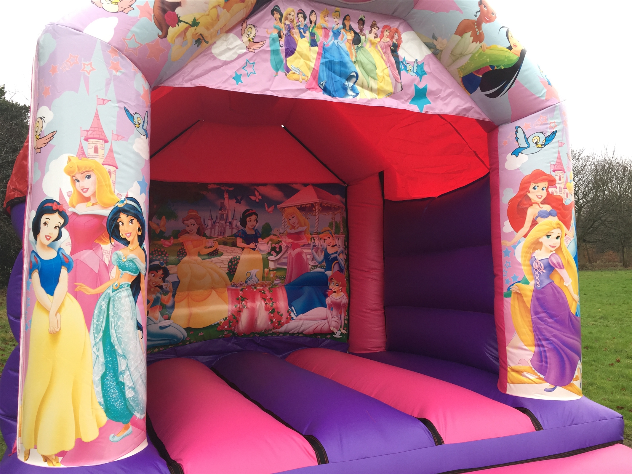 princess bouncy castles