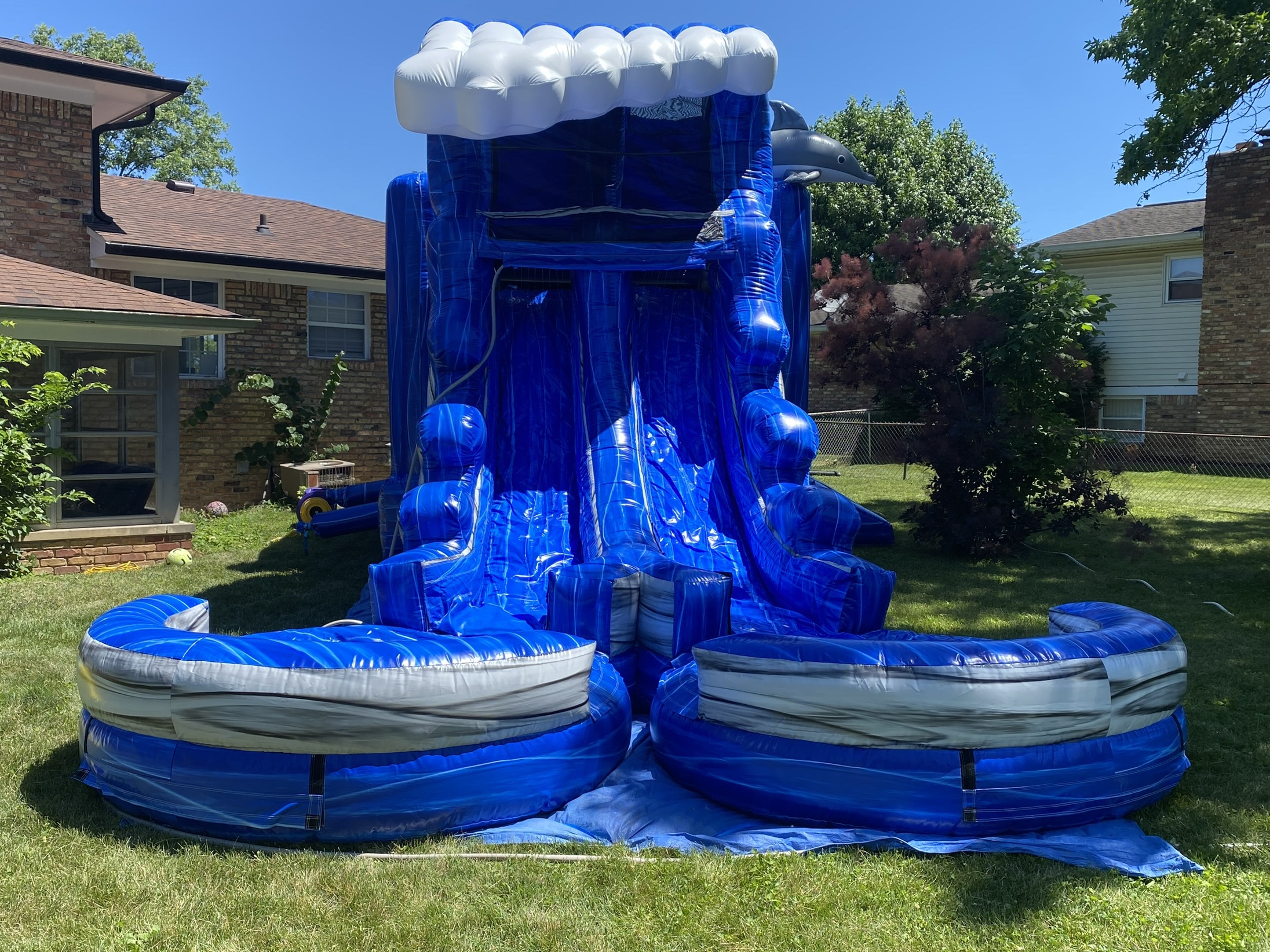 Blue Dolphin Double Combo DRY - Hire in indianapolis | Indy Party ...