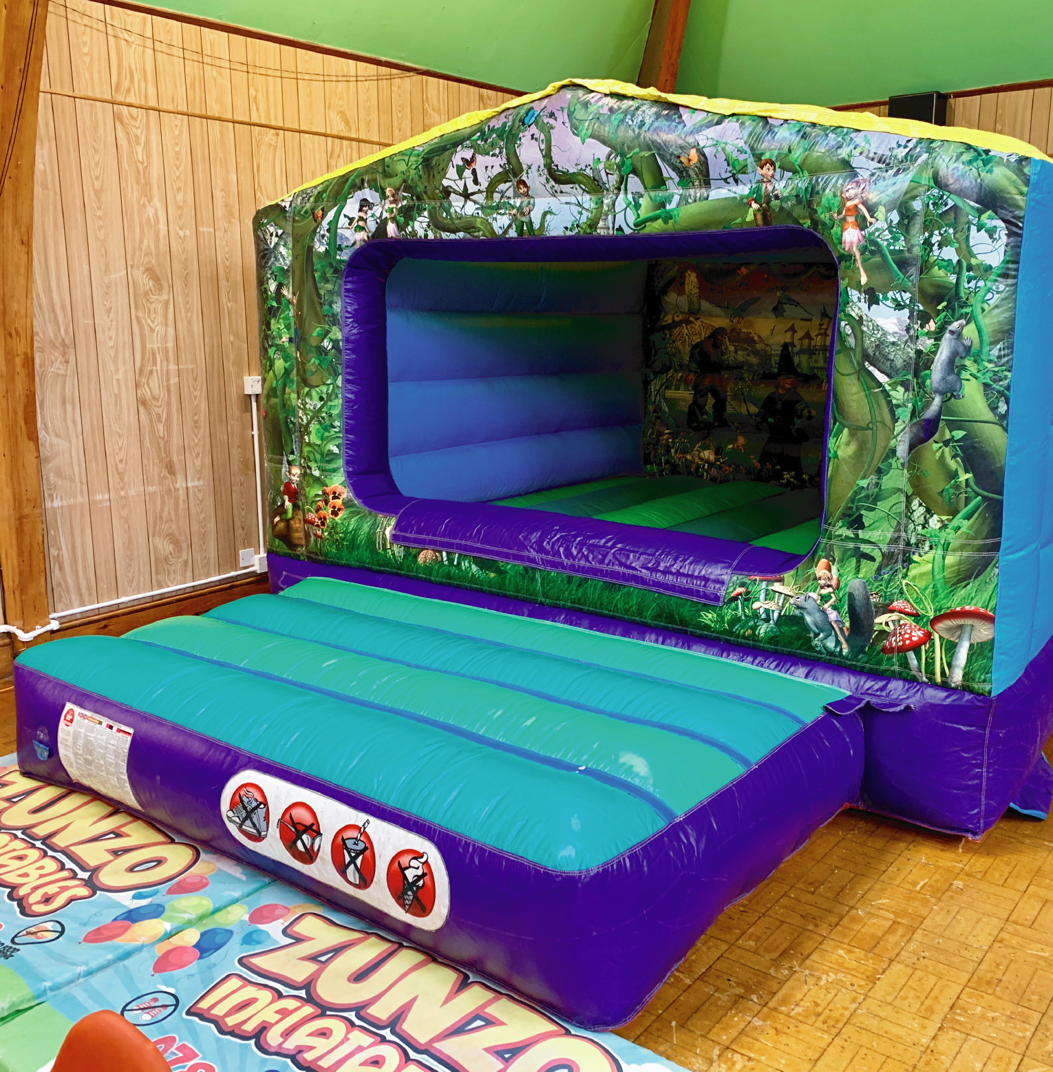 Fantasy Themed Bouncy Castle 10ft W X 14 L North East Bouncy