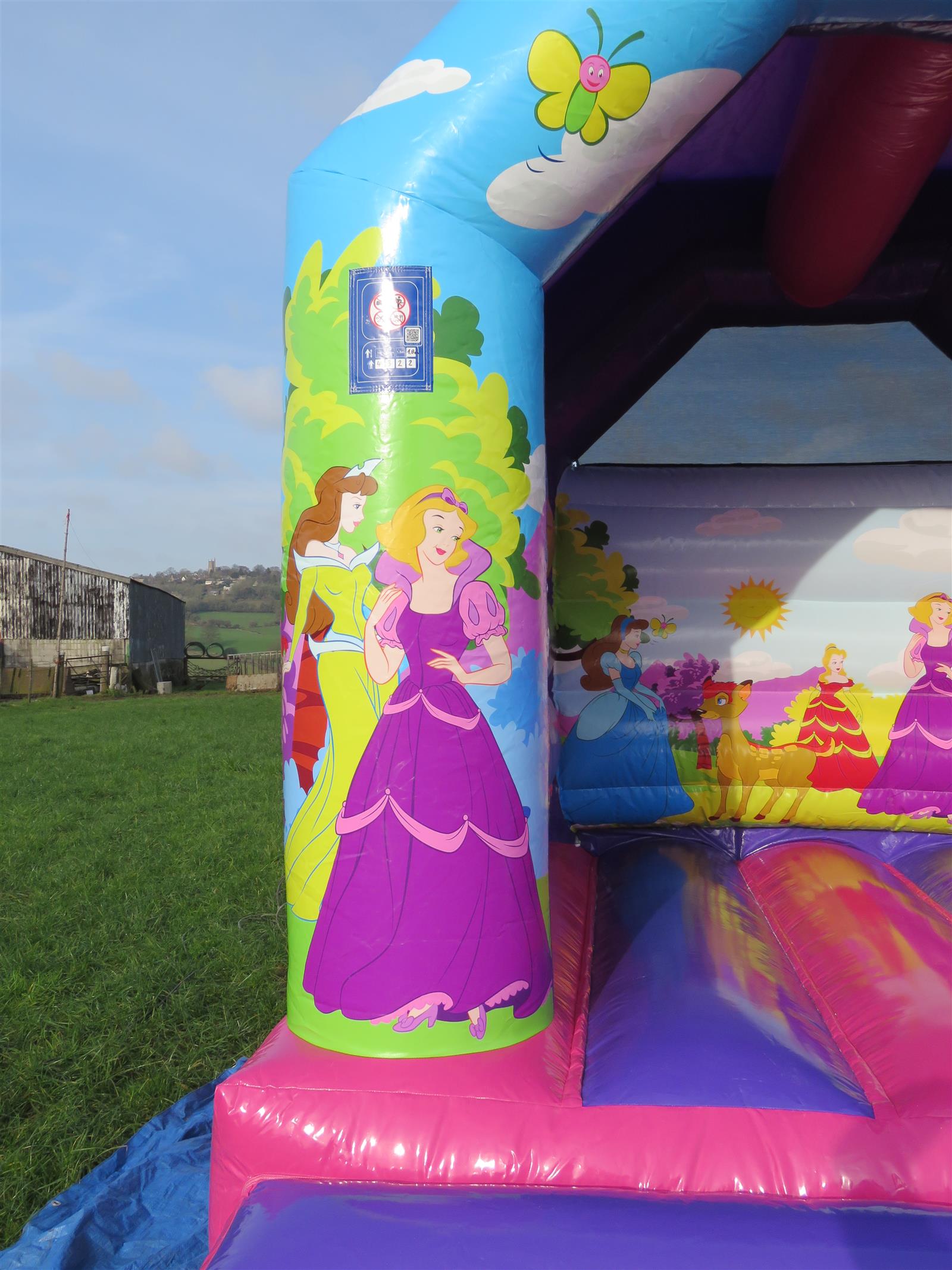 princess bouncy castles