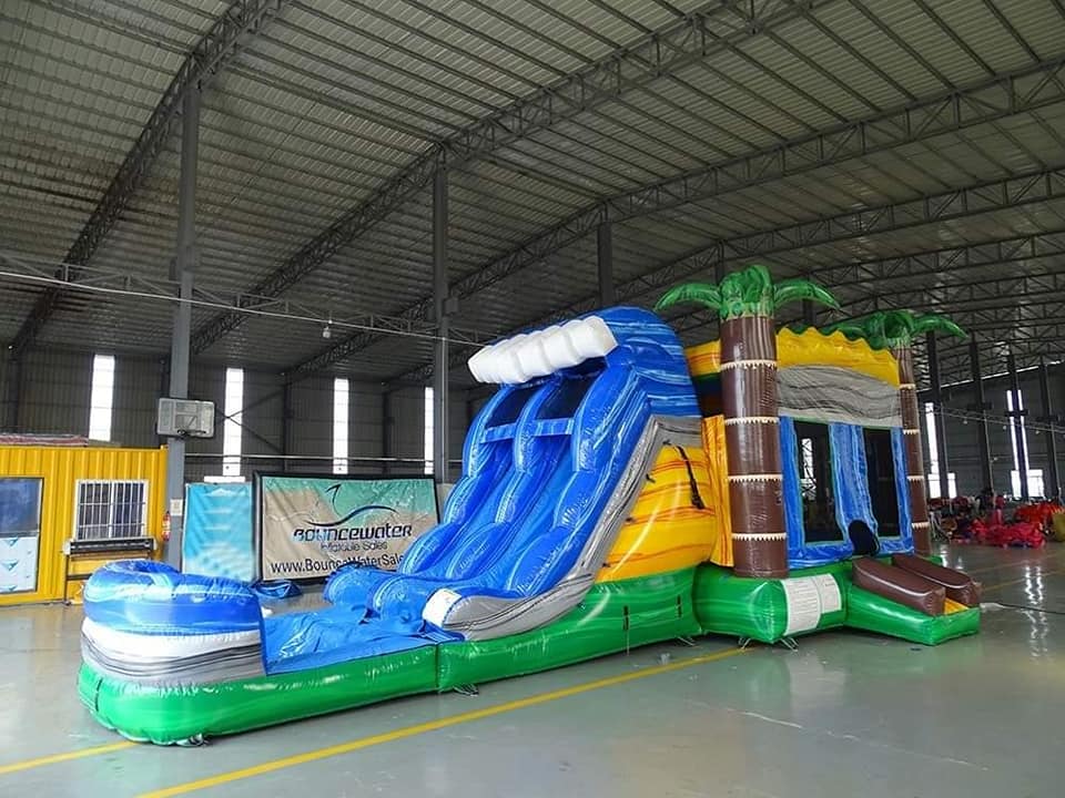 Bounce House Wet/Dry Combos Rentals in SULPHUR, CARLYSS, HACKBERRY
