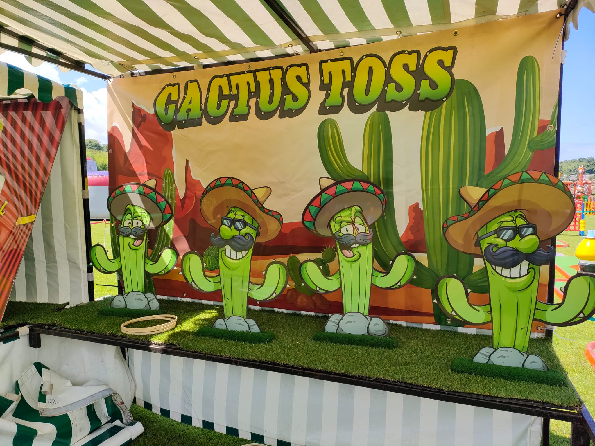 Cactus Picture Rodeo Cactus Toss - Event & Party Hire in Ireland | Carousel Enterprises