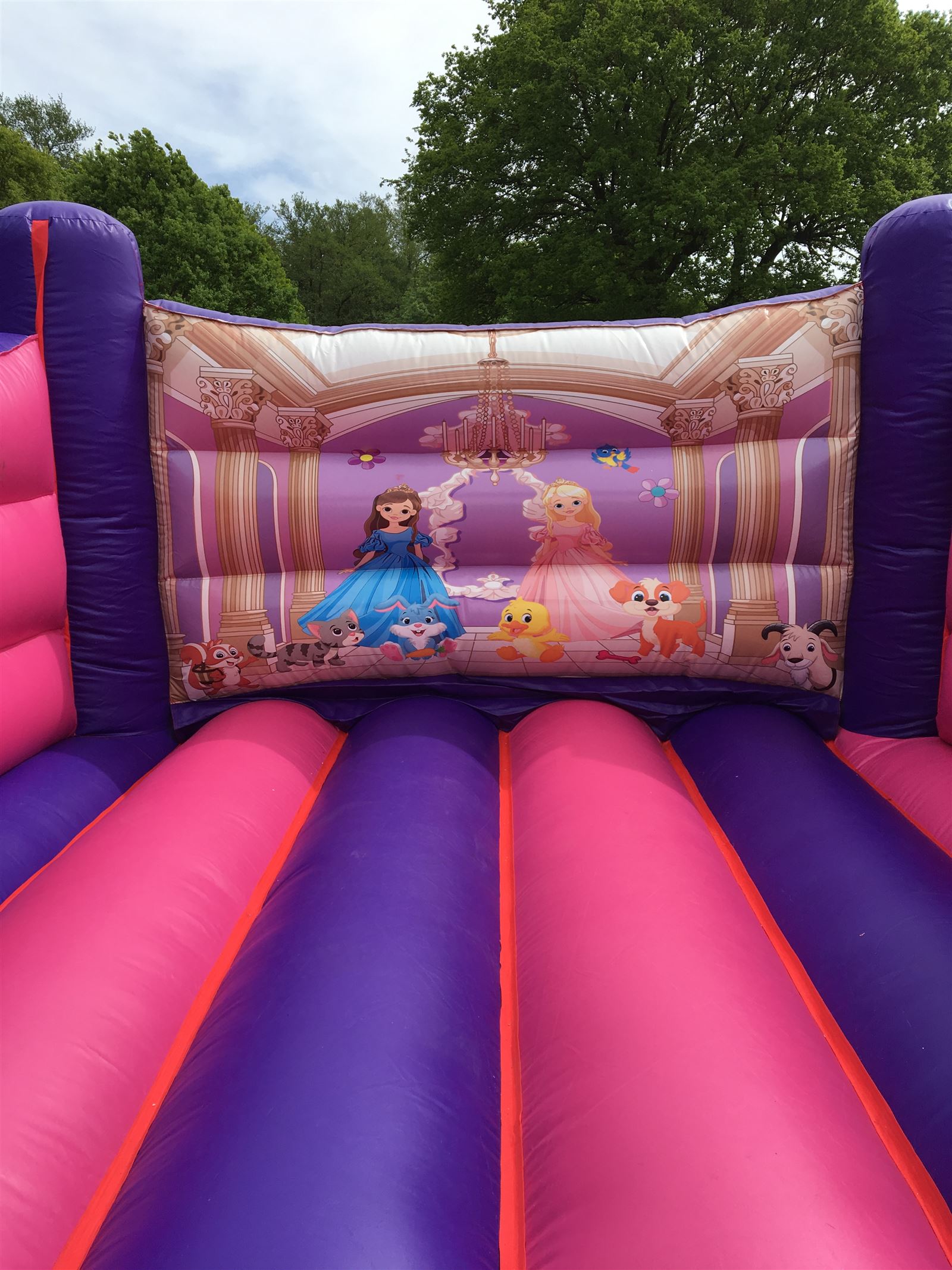 princess bouncy castles