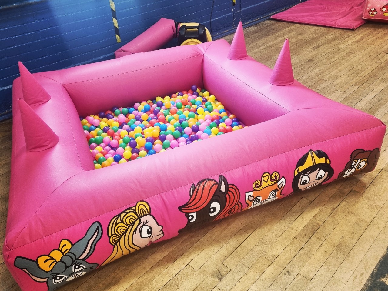 Princess Ball Pond - Hire in Aylesbury