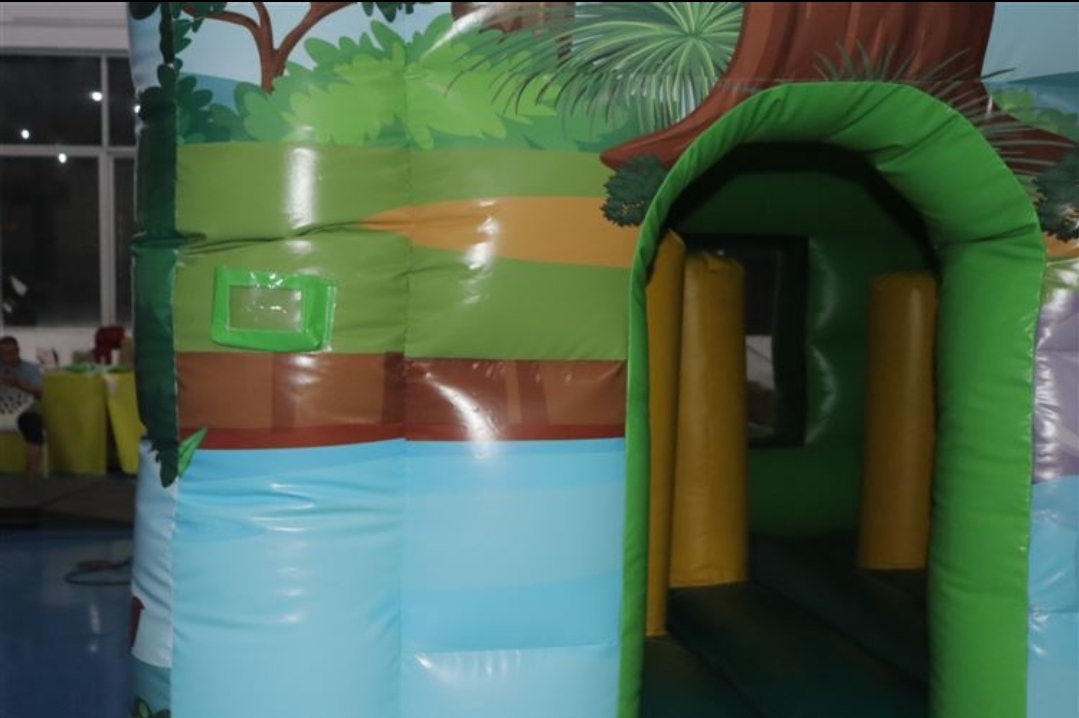 Jungle Combi Castle with Front Slide - Hire in Co Westmeath | ABC ...
