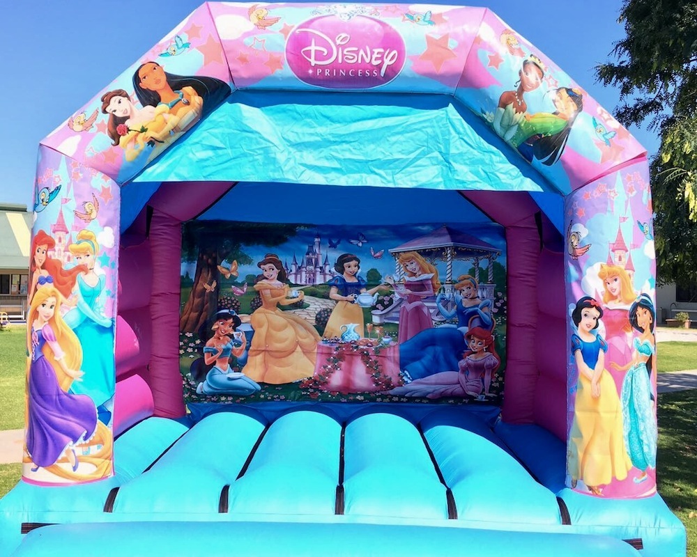 disney princess bouncy castle hire