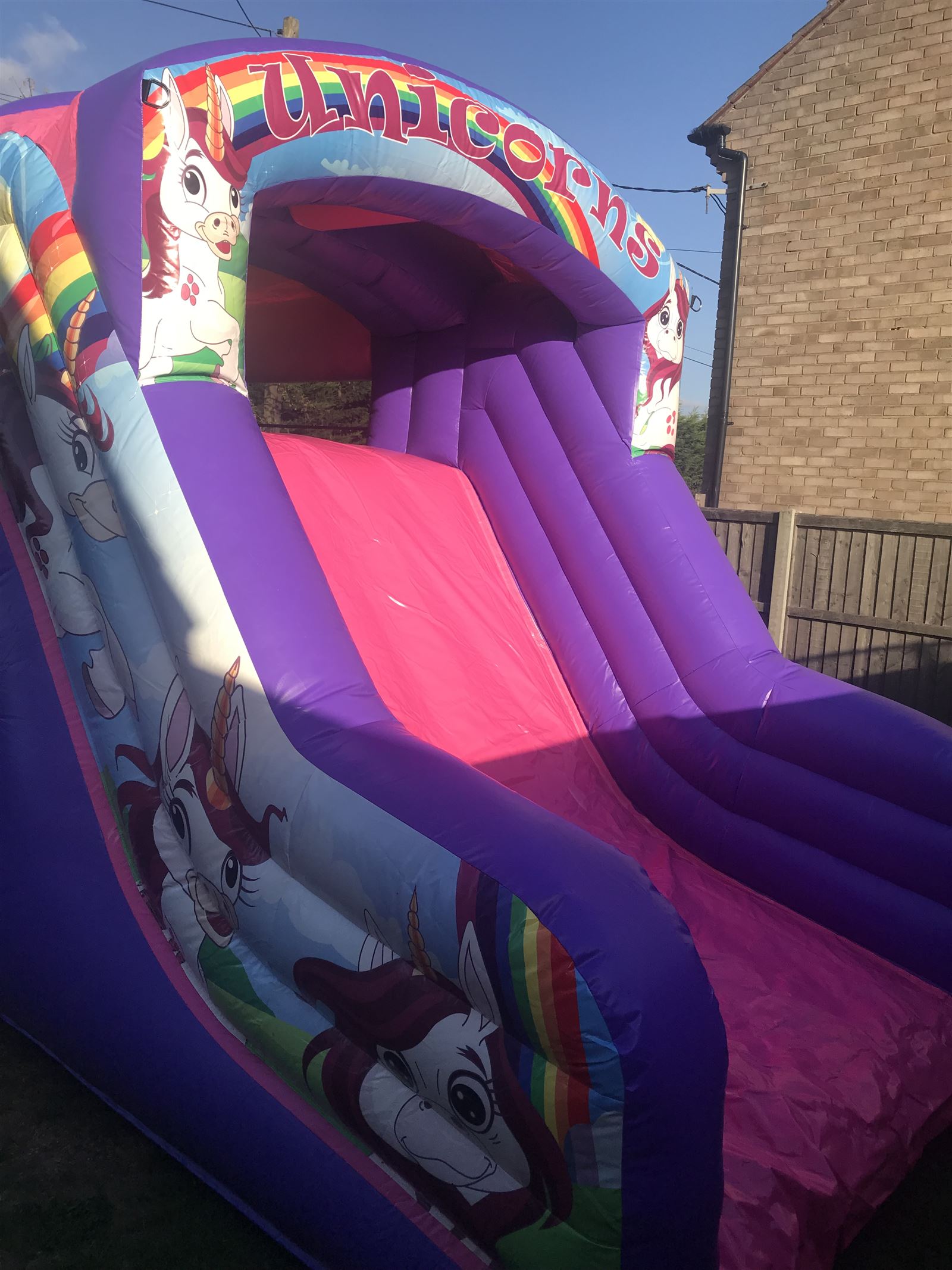 Unicorn Fun Run Hire Bexley