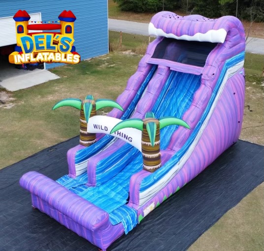 Dry Units Best Inflatable Rentals, Bounce House Rentals, Water Slides