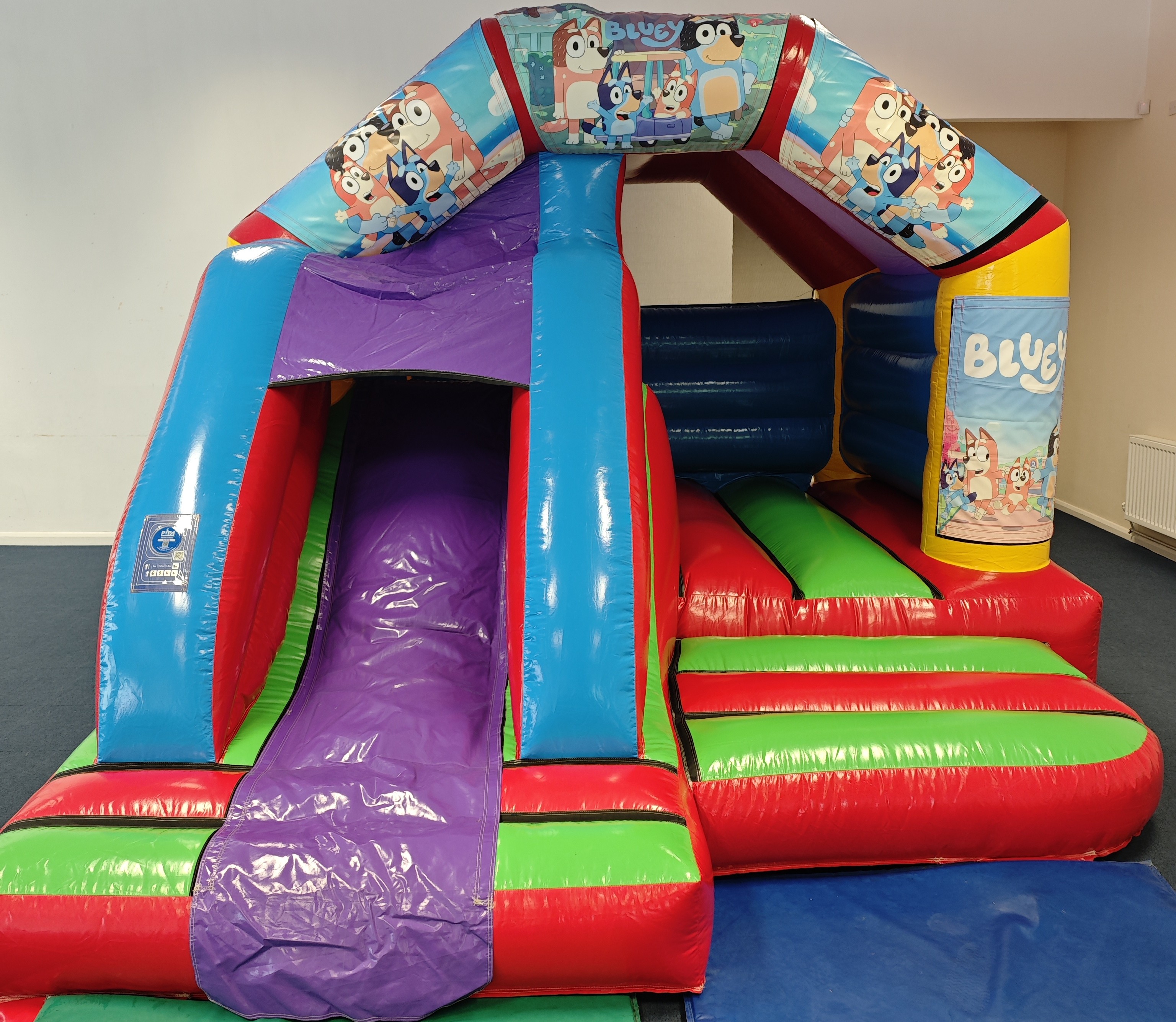 Bluey Bouncy Castle Front Slide - Bouncy Castle Inflatable Hire in ...