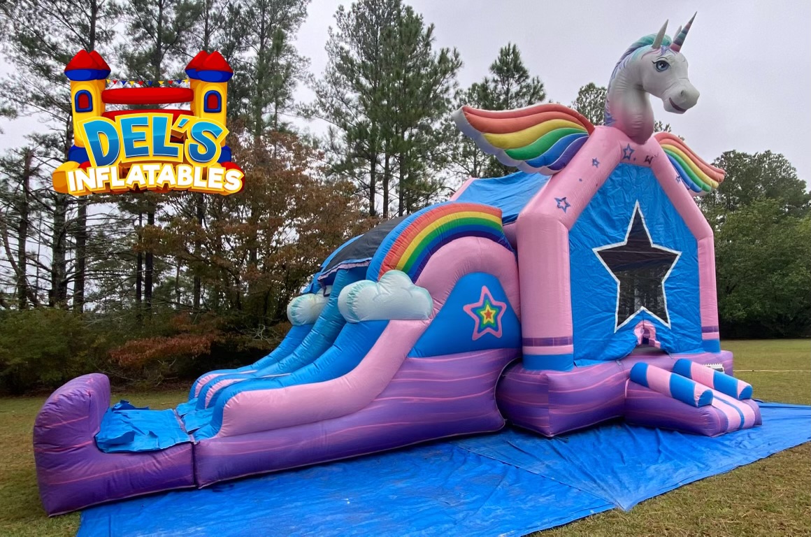 Dry Units Inflatable Rentals, Bounce House Rentals, Water Slides in Norman Park, Moultrie